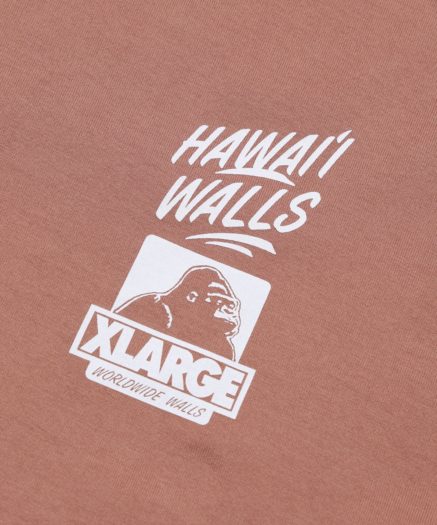 XLARGE x HAWAII WALLS S/S TEE
