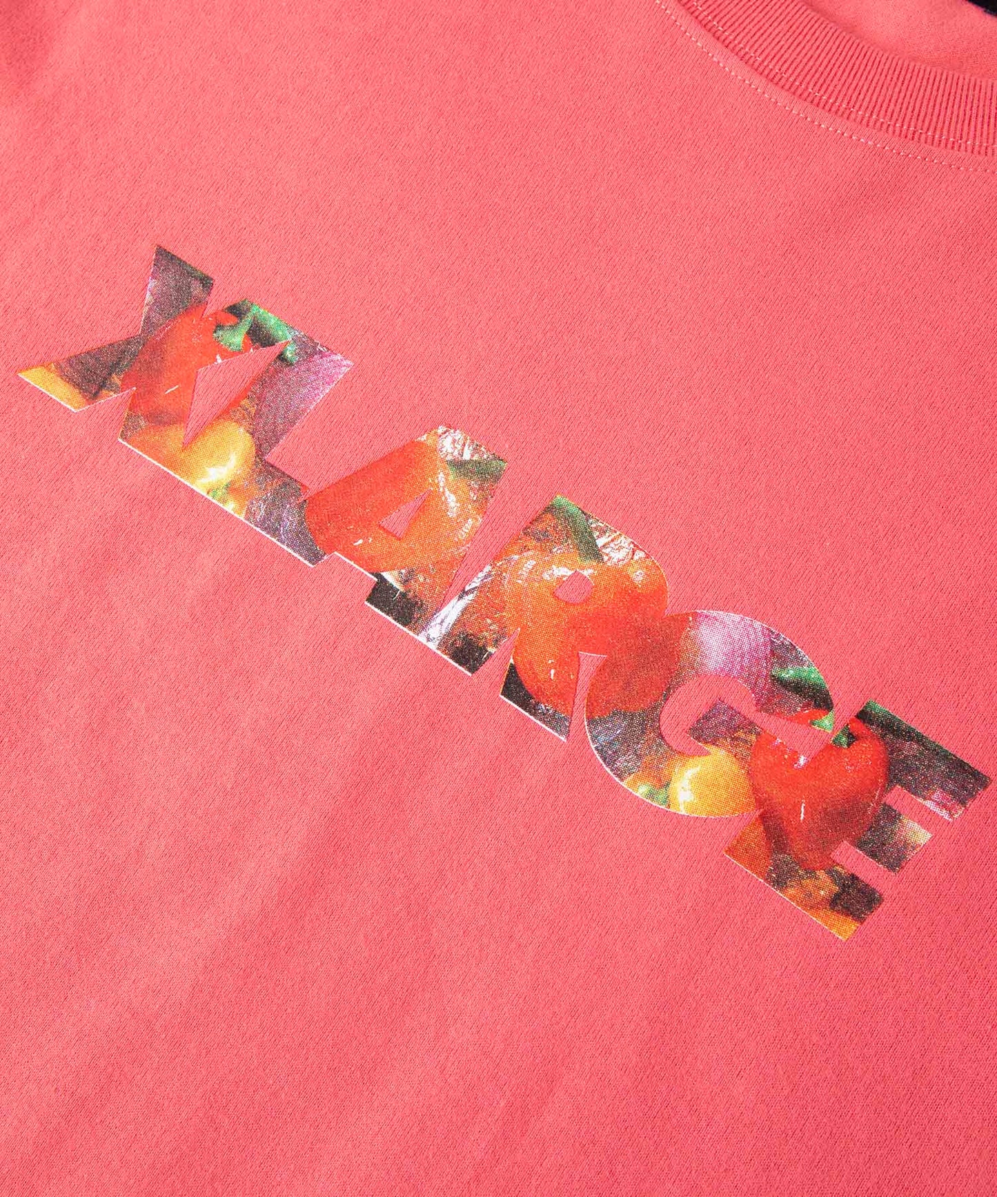 L/S TEE INGREDIENTS STANDARD LOGO T-SHIRT XLARGE